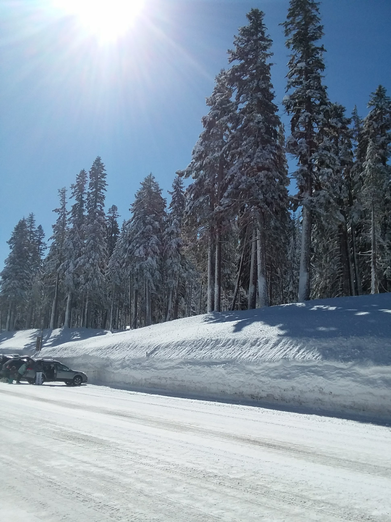 Illustration for article titled Mammoth Mountain Day Trip
